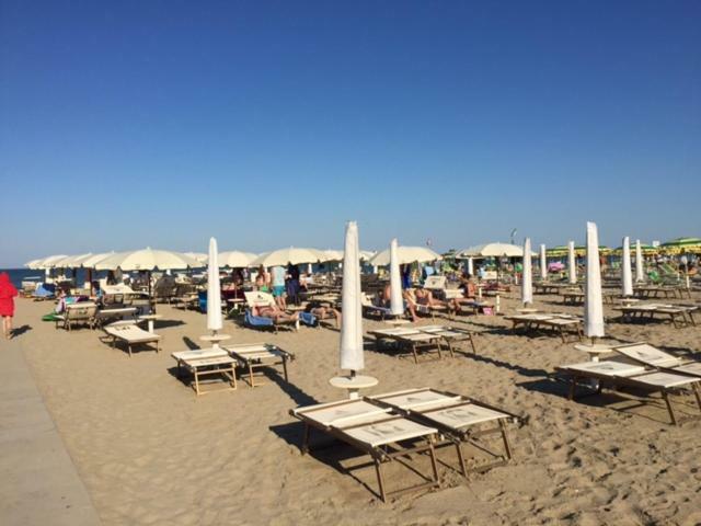 Park Hotel Ravenna Marina di Ravenna Eksteriør billede